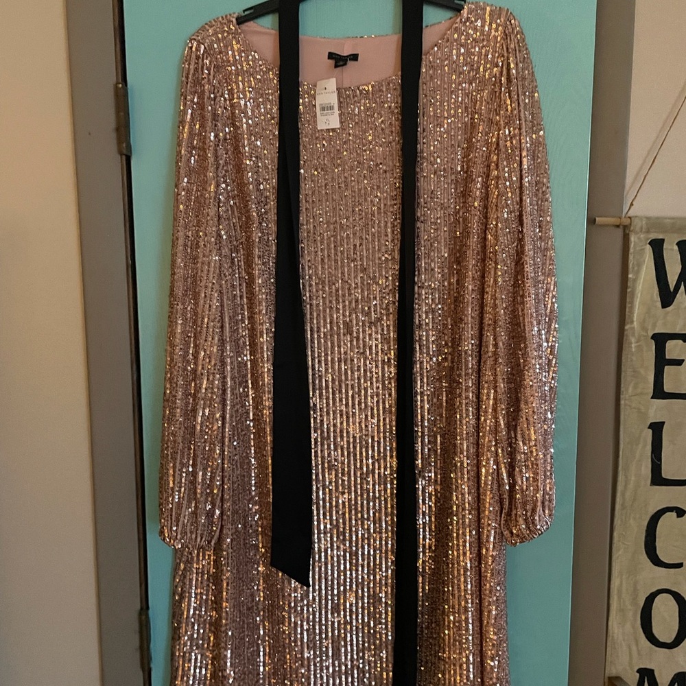SOLD; not available Ann Taylor Sequin Dress XL